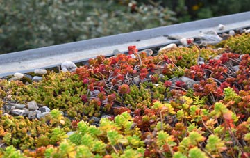 the cost of Tregeseal green roof installation