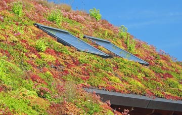 Tregeseal living roof systems